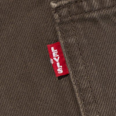 画像1: 【Levi's】Buggy Cargo Shorts (Brown)