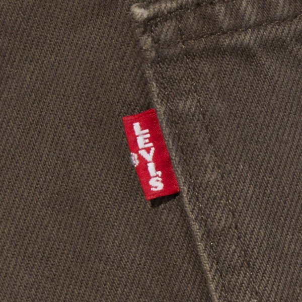 画像10: 【Levi's】Buggy Cargo Shorts (Brown) (10)